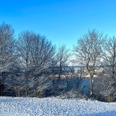 njek_'s profile picture. mau retweet aja sm misuhin rezim