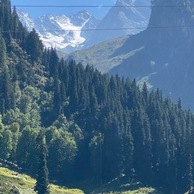 XashX9999's profile picture. 