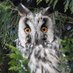Košice Patch Birding (@kpbblog) Twitter profile photo Košice Patch Birding (@kpbblog) Twitter profile photo