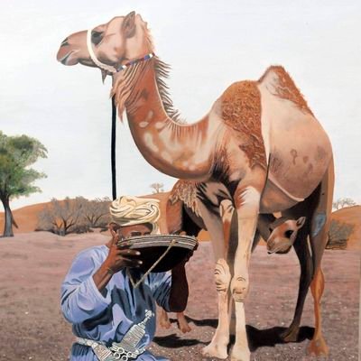 OmanOma53943277's profile picture. Oman