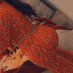 ميمو تبوك (@tbwkaml) Twitter profile photo