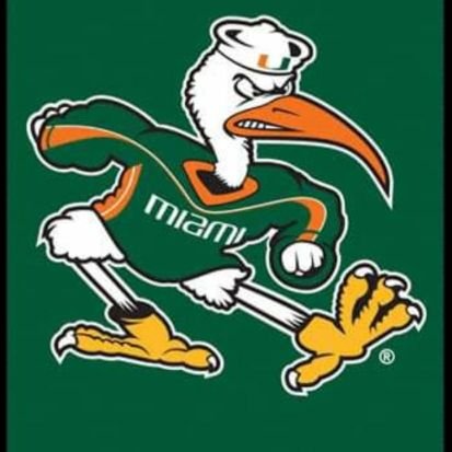 GSarasky's profile picture. 