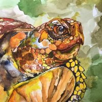 LoneTurtle (@loneturtle2) 's Twitter Profile