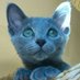 Belu (@beluboxdebria) Twitter profile photo Belu (@beluboxdebria) Twitter profile photo
