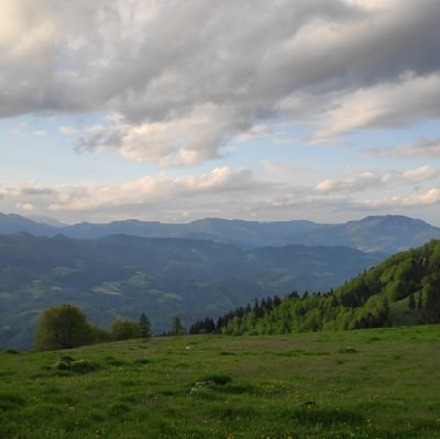 Zv0n0's profile picture. 