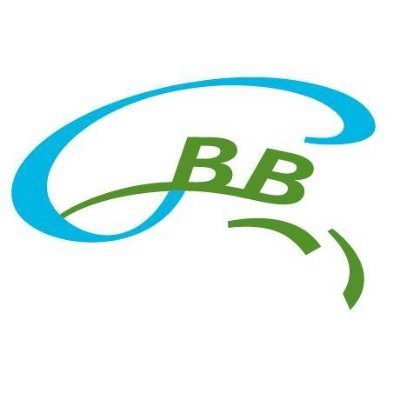 GBBGroningen Profile Picture