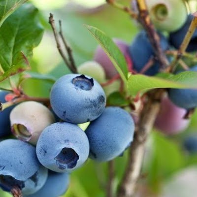 Martin53691813's profile picture. 