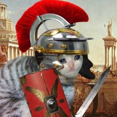 _tomwilko_'s profile picture. 