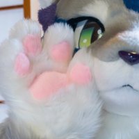 Kemonova (@kemonovajp) 's Twitter Profile