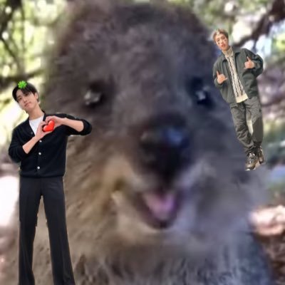 nah_wecanstay's profile picture. いつの間にかハニペン🐿 #大人STAY #STAYさんと繋がりたい #HAN #straykids #스트레이키즈 #한 #한지성