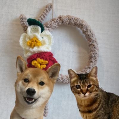 愛犬と愛猫をひたすら愛でるアカウント。
柴犬ニコ
2018年1月28日生まれの女の子。
うちの子記念日は2018年3月27日。キジトラ猫雪路(ゆきじ)2018年6月生まれっぽい女の子。うちの子記念日は2020年7月26日。
つぶやきはかーちゃんが担当しています。動物みんな大好きです。
よろしくお願いします。