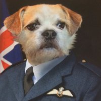 police badge (@badgepolice) 's Twitter Profile Photo police badge (@badgepolice) 's Twitter Profile Photo