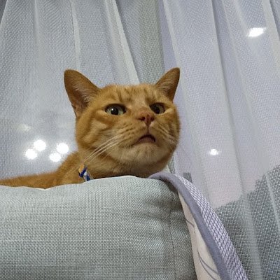 haruemi5's profile picture. 