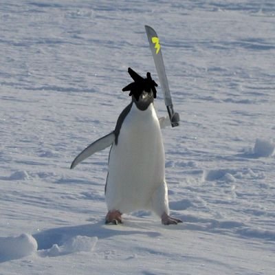 따꾼さんのプロフィール画像
