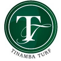 Tinamba Turf(@TinambaTurf) 's Twitter Profile Photo