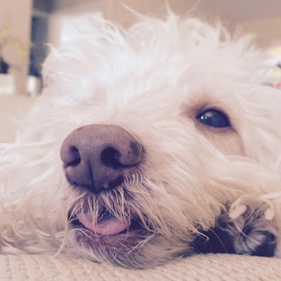 MarySmi17988288's profile picture. 