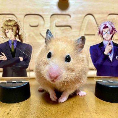 孤独🐹さんのプロフィール画像