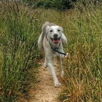 SalvaCamano's profile picture. Muy preocupado por la eminente catástrofe climática