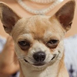 Poks_na's profile picture. A Free Thinker. I Question The Questionables. Law of Attraction Because The Universe Listens.