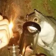 f0cusM's profile picture. 🇱🇹