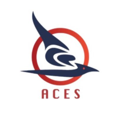 AcesAviationBkk Profile Picture