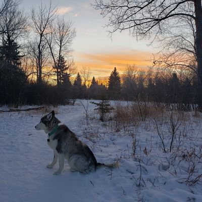 KrisBrocker's profile picture. 