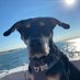 Len Chenfeld (@lenchenfeld) Twitter profile photo Len Chenfeld (@lenchenfeld) Twitter profile photo