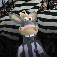 Calavinho do Botafogo ★彡 | Paródia(@CavalinhoBFR) 's Twitter Profile Photo