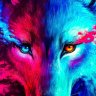 Joshdc1234's profile picture. 
