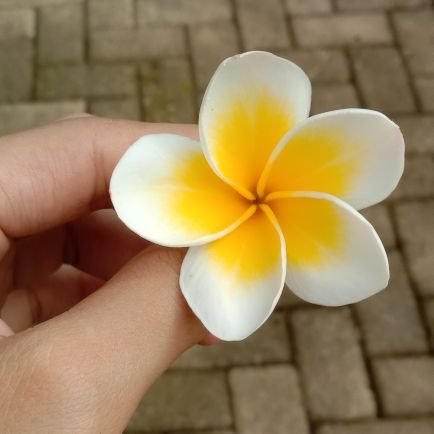 I'm a Daisy lover  🌼🌼