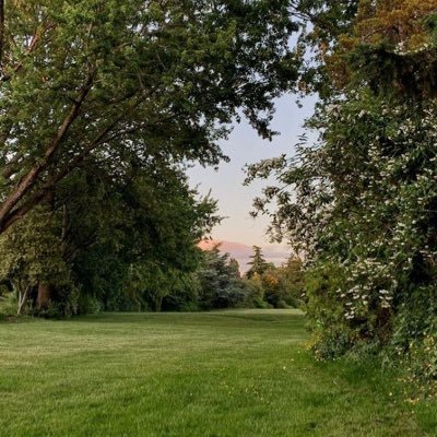 bushra2_o's profile picture. sym