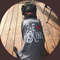 LaughOutLander🌮(@LaughOutLander) 's Twitter Profile Photo