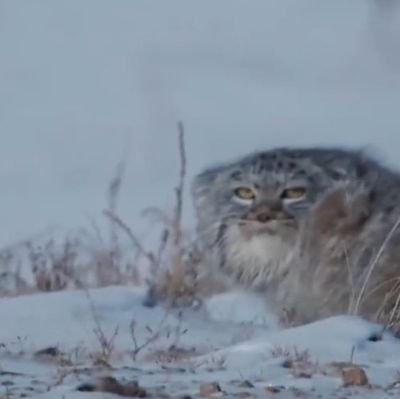 lgxner's profile picture. 🌌🍀🌺