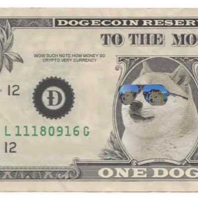 No highs No Lows Only Doge .. Give a doge a bone and it’ll find it way home🍖🐕🏡