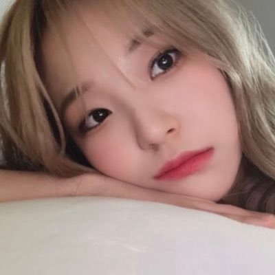 jiheonfeed Profile Picture