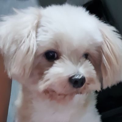 acosta_mayumi's profile picture. 