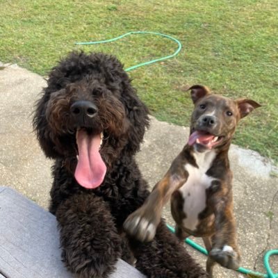 gabejidavis's profile picture. long pauses