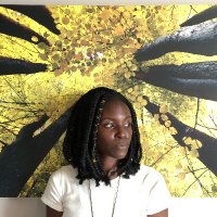 Mwitupa Makashinyi (@africantinker) 's Twitter Profile