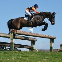 Anita Doherty (@anitadoherty9) 's Twitter Profile