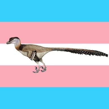 She/They/It/Xe || Pan || Transgener