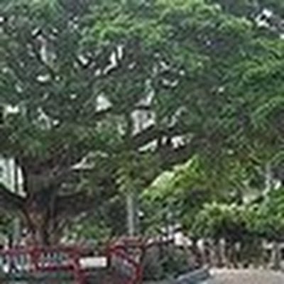 lumariro2010's profile picture. 