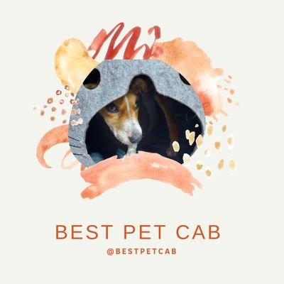 Best Pet Cab 🐾🐾