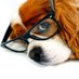 HollyAHarvey Author (@haharveyauthor) Twitter profile photo HollyAHarvey Author (@haharveyauthor) Twitter profile photo