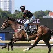 Aus/NZ Racing - Steve Donovan (@paddyd77162303) 's Twitter Profile Photo Aus/NZ Racing - Steve Donovan (@paddyd77162303) 's Twitter Profile Photo