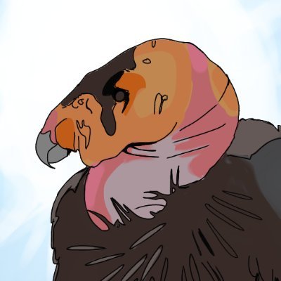 Bird Brainedさんのプロフィール画像