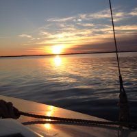 Patricia Graham Falino (@pattyfalino) 's Twitter Profile Photo Patricia Graham Falino (@pattyfalino) 's Twitter Profile Photo