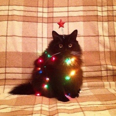 notforyougoback's profile picture. 