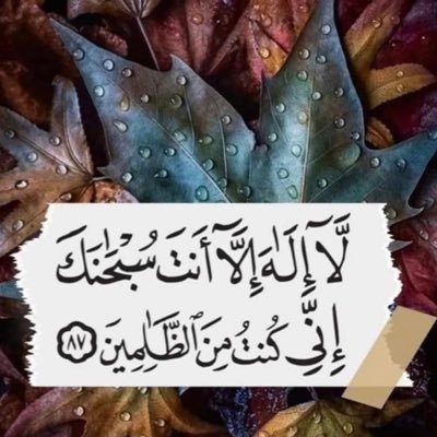 Abdelaziz7582's profile picture. 