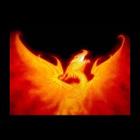 WILFREDO SANCHEZ (@wilfred57083767) 's Twitter Profile