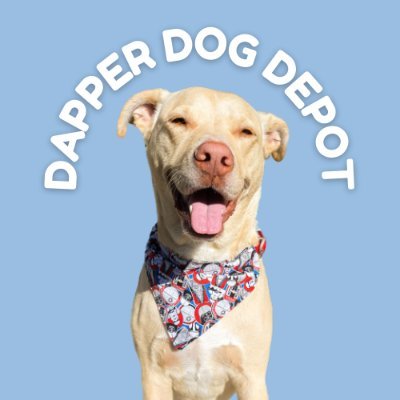 Dog Apparel Shop 🐾 Check out the link below for more information! ⬇️